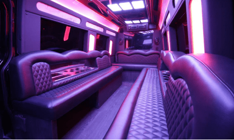 Bellevue 14 Passenger Sprinter Bus Interior